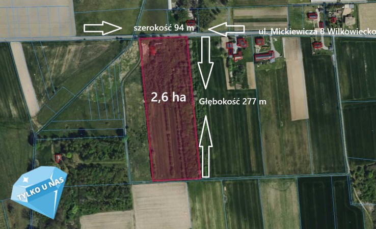 działka na sprzedaż - Opatów, Wilkowiecko